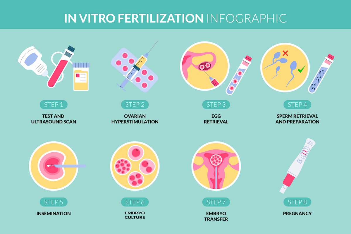 infograpic tentang bayi tabung