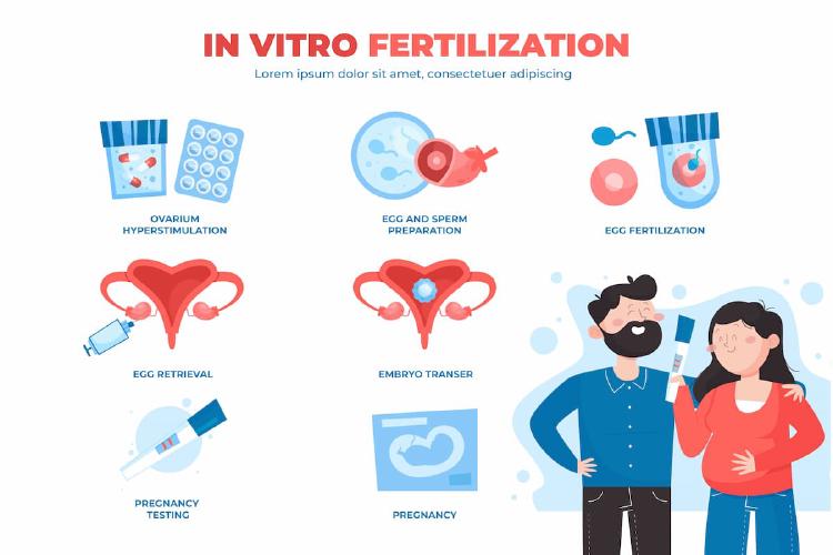 Bayi Tabung: Revolusi In Vitro Fertilization (IVF) dalam Dunia Reproduksi Manusia